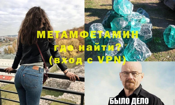 ГАЛЛЮЦИНОГЕННЫЕ ГРИБЫ Дмитриев